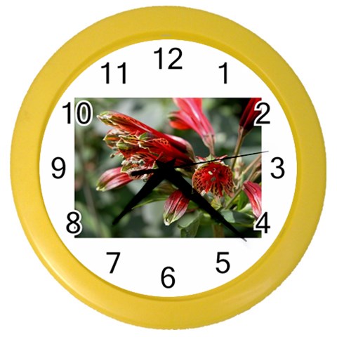 9 Color Wall Clock from ArtsNow.com Front