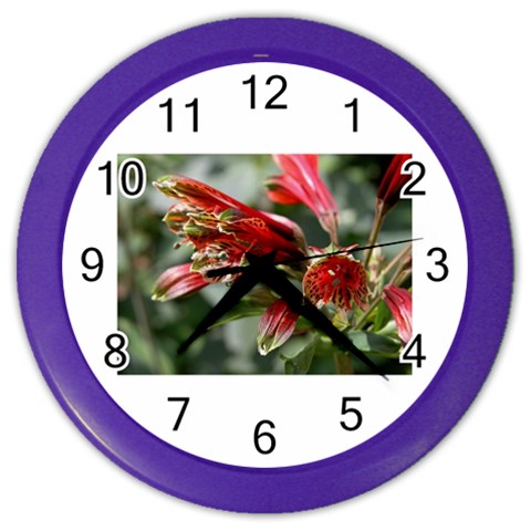 9 Color Wall Clock from ArtsNow.com Front