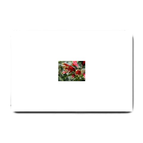 9 Small Doormat from ArtsNow.com 24 x16  Door Mat