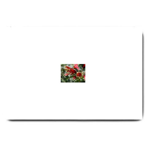 9 Large Doormat from ArtsNow.com 30 x20  Door Mat