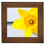 n Framed Tile