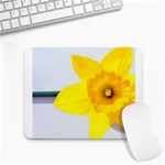 n Small Mousepad