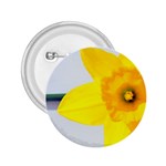 n 2.25  Button