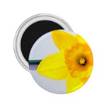 n 2.25  Magnet