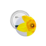 n 1.75  Button
