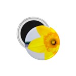 n 1.75  Magnet