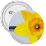 n 3  Button