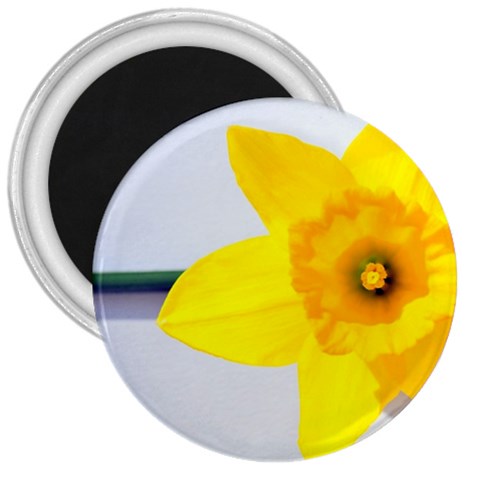 n 3  Magnet from ArtsNow.com Front