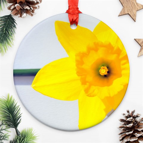 n Ornament (Round) from ArtsNow.com Front