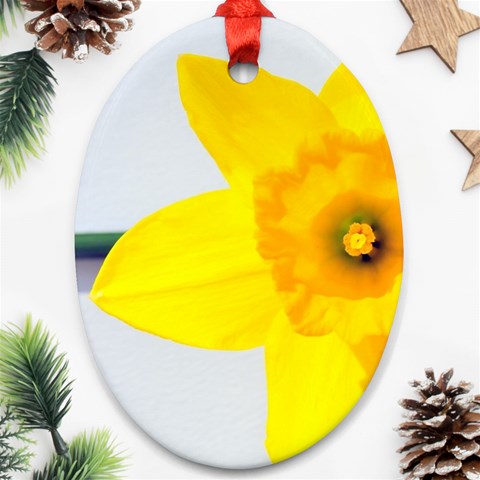 n Ornament (Oval) from ArtsNow.com Front