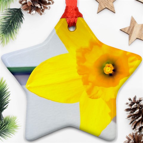 n Ornament (Star) from ArtsNow.com Front