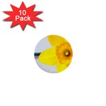 n 1  Mini Button (10 pack) 