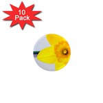 n 1  Mini Magnet (10 pack) 