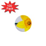 n 1  Mini Button (100 pack) 