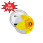 n 1.75  Button (10 pack) 