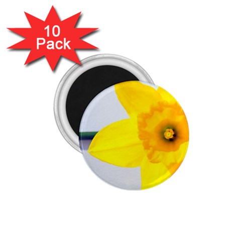 n 1.75  Magnet (10 pack)  from ArtsNow.com Front