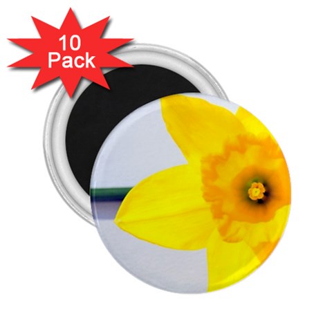n 2.25  Magnet (10 pack) from ArtsNow.com Front
