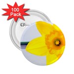 n 2.25  Button (100 pack)