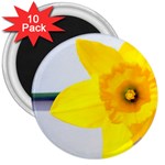 n 3  Magnet (10 pack)