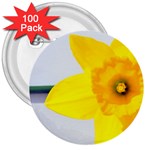 n 3  Button (100 pack)
