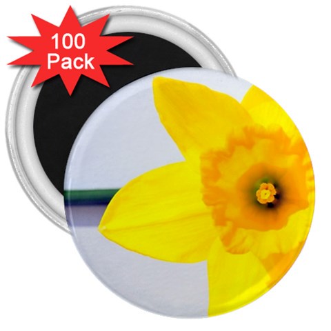 n 3  Magnet (100 pack) from ArtsNow.com Front