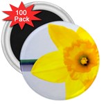 n 3  Magnet (100 pack)