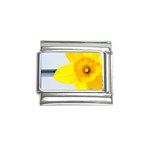 n Italian Charm (9mm)