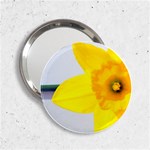 n 2.25  Handbag Mirror