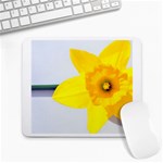 n Large Mousepad