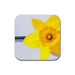 n Rubber Coaster (Square)