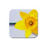 n Rubber Square Coaster (4 pack)