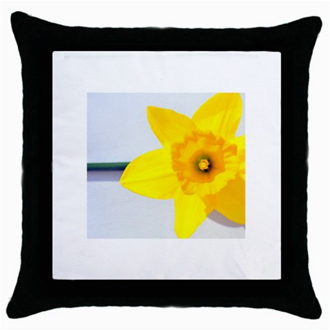 n Throw Pillow Case (Black) from ArtsNow.com Front