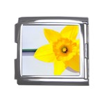 n Mega Link Italian Charm (18mm)