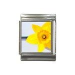 n Italian Charm (13mm)