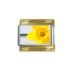 n Gold Trim Italian Charm (9mm)
