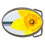 n Belt Buckle