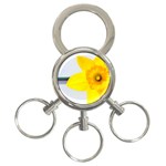 n 3-Ring Key Chain