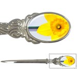 n Letter Opener