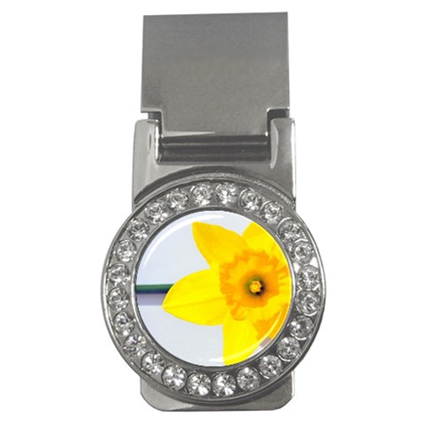 n Money Clip (CZ) from ArtsNow.com Front