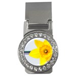 n Money Clip (CZ)