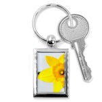 n Key Chain (Rectangle)