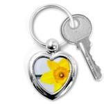 n Key Chain (Heart)