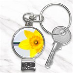 n Nail Clippers Key Chain