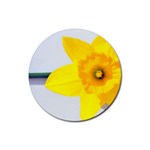 n Rubber Coaster (Round)