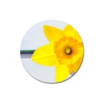 n Magnet 3  (Round)