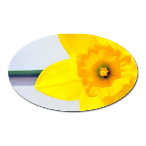 n Magnet (Oval) from ArtsNow.com Front