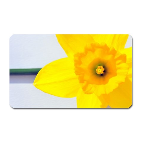 n Magnet (Rectangular) from ArtsNow.com Front