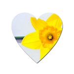 n Magnet (Heart)