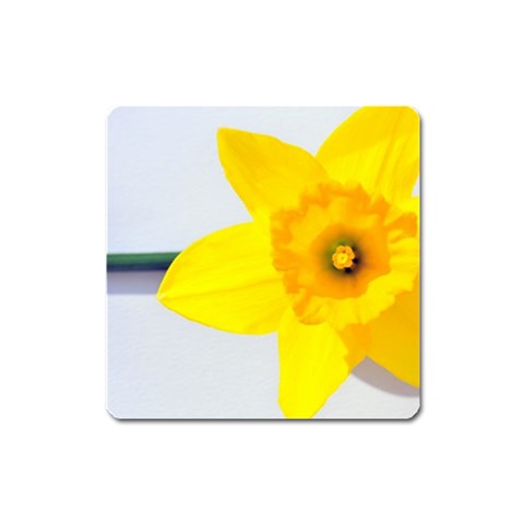 n Magnet (Square) from ArtsNow.com Front