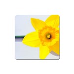 n Magnet (Square)